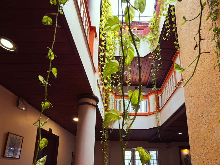 Yoganess Ireland - Yoga & Ayurveda Holiday