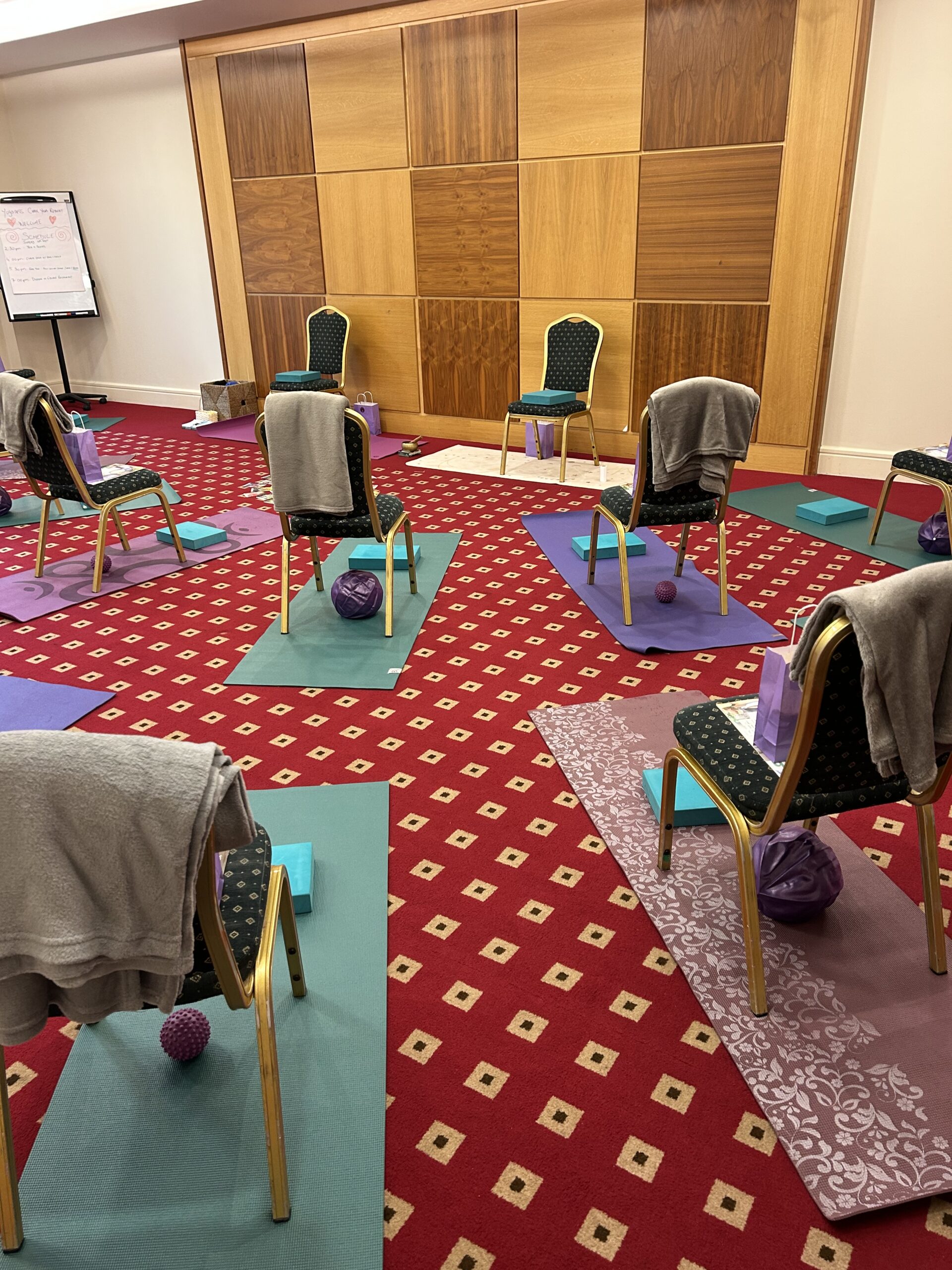 Chair Yoga Retreat - Yoganess Ireland