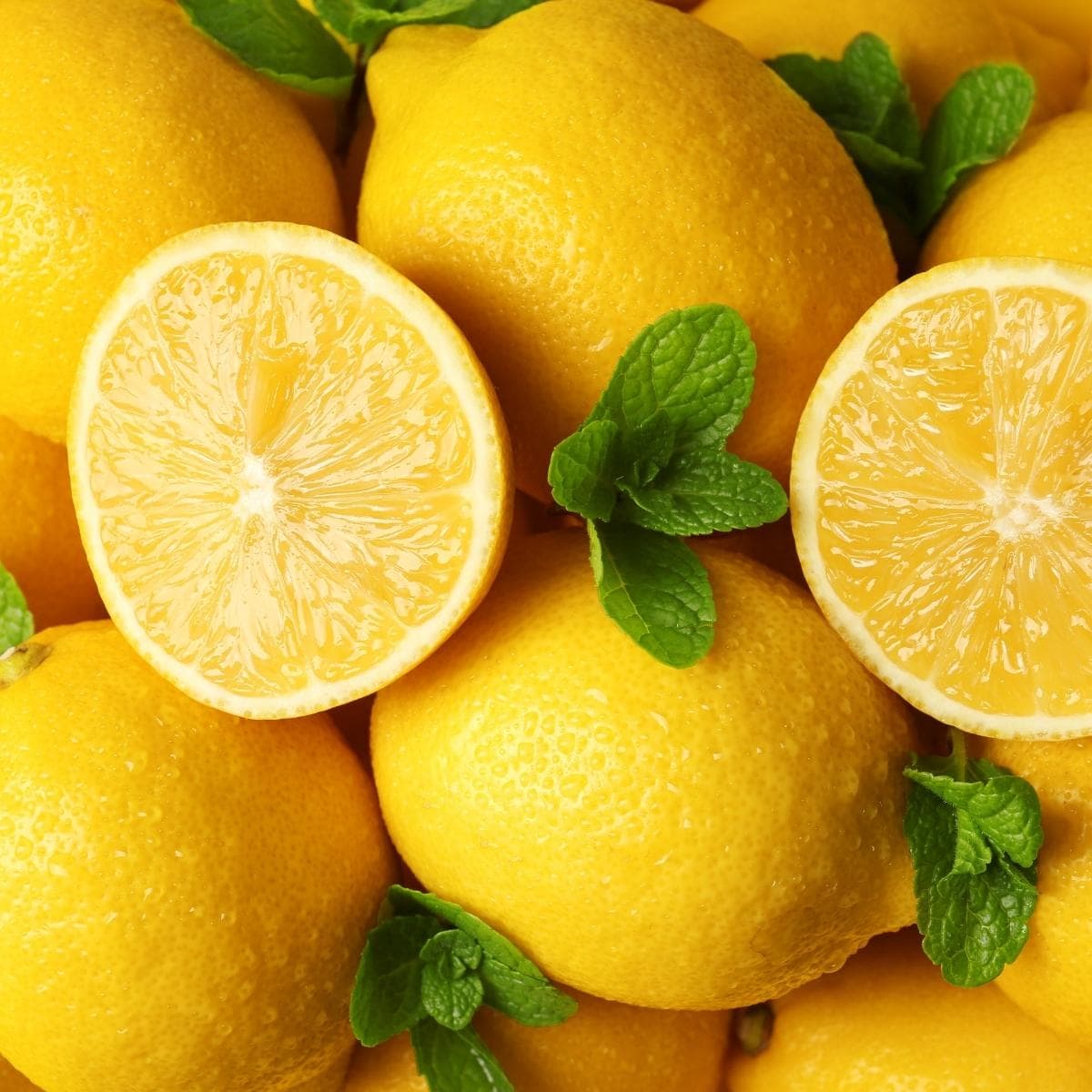 Fresh-Organic-Yellow-Lemons lemonade